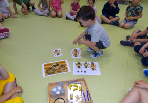 06 Dzieci poznają budowę pszczoły